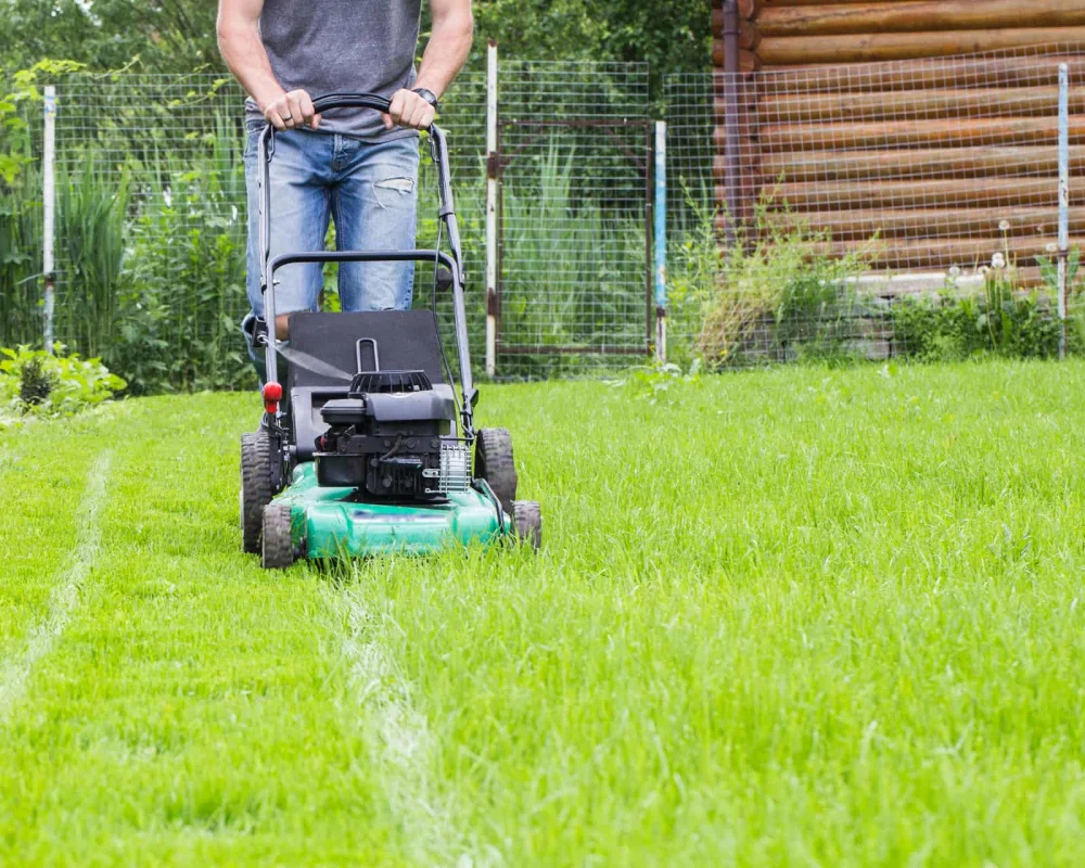 Jardielec Jardinier Les Herbiers Entretien De Jardin 3